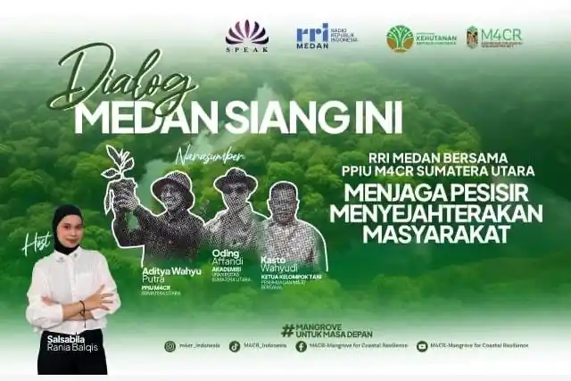 dummy berita
